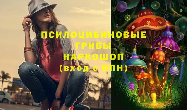 apvp Володарск